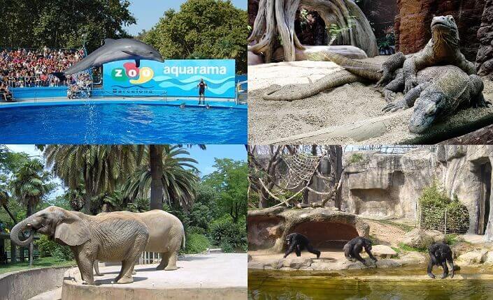 Zoologico de Barcelona Atraccion